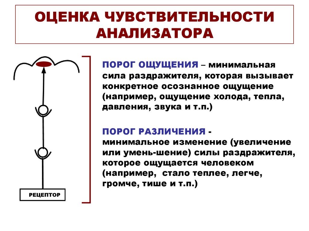 Пороговая чувствительность сетчатки