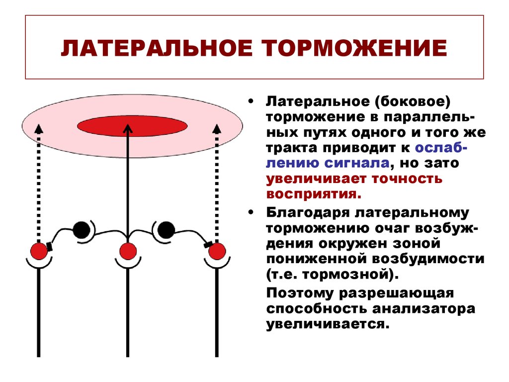 Латеральное торможение схема