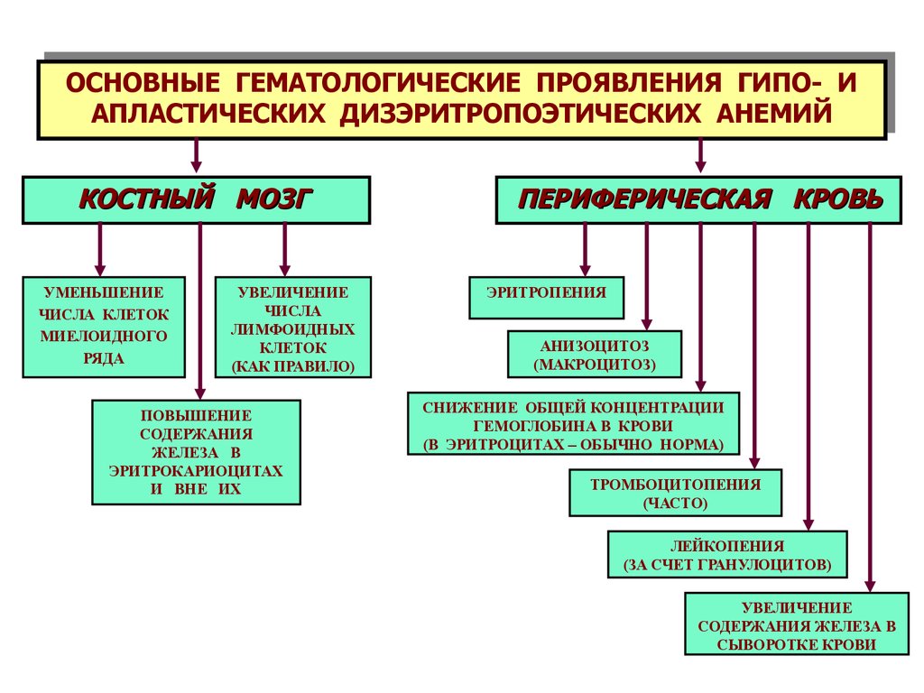 Патология системы крови презентация