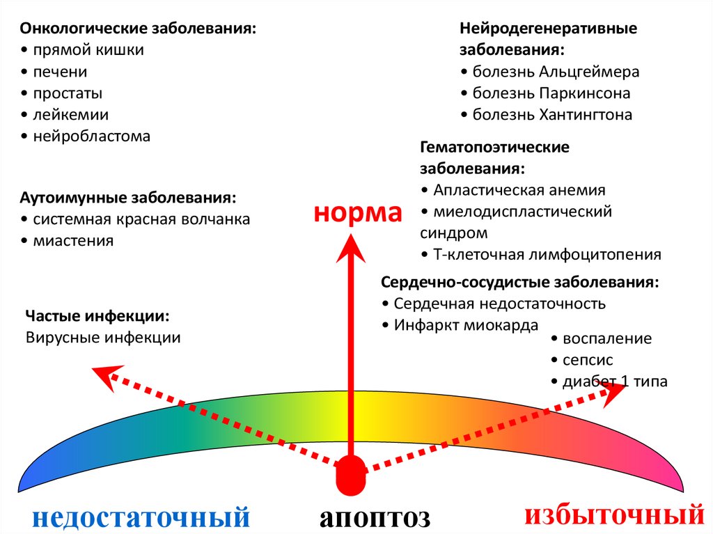 Нейродегенеративные заболевания