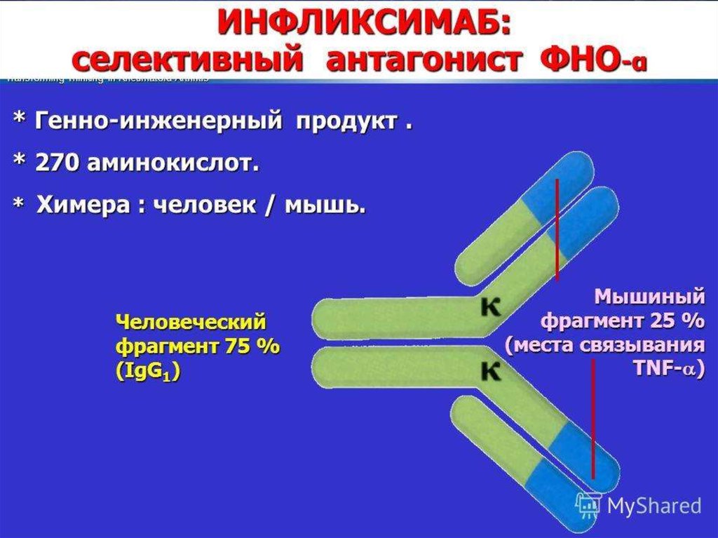 Инфузия инфликсимаба. Инфликсимаб. Инфликсимаб препарат. Механизм действия инфликсимаба. Инфликсимаб торговое Наименование.