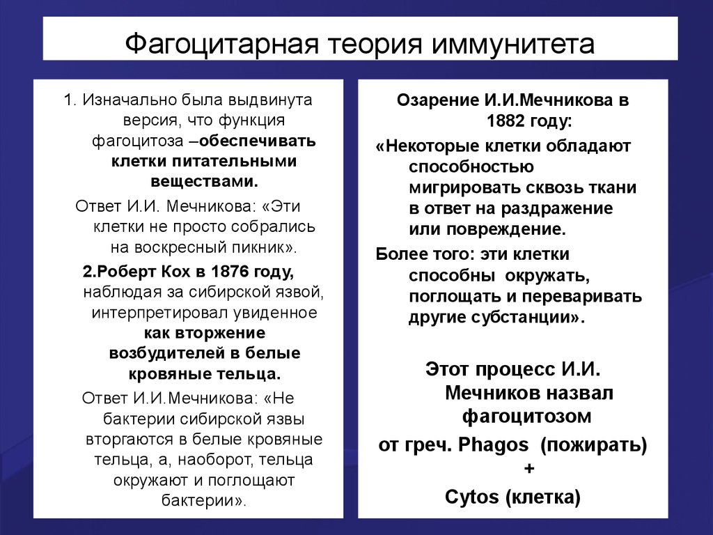 Теории иммунитета. Автор фагоцитарной теории иммунитета. Теория иммунитета Мечникова. Мечников создал фагоцитарную теорию иммунитета. Фагоцитарная теория иммунитета Мечникова.