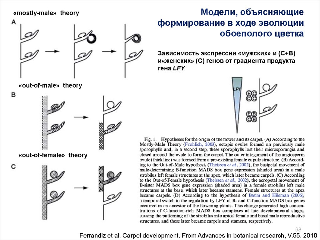 Объяснить формирование