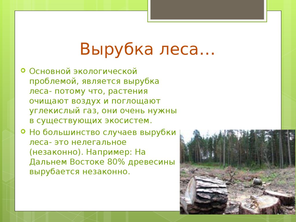 Экологические проблемы доклад. Доклад на тему вырубки леса. Вырубка леса презентация. Вырубка лесов сообщение. Доклад на тему вырубка лесов.