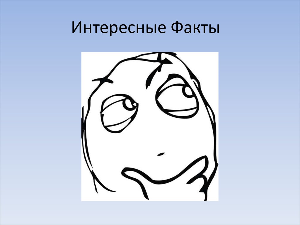 Интересные Факты
