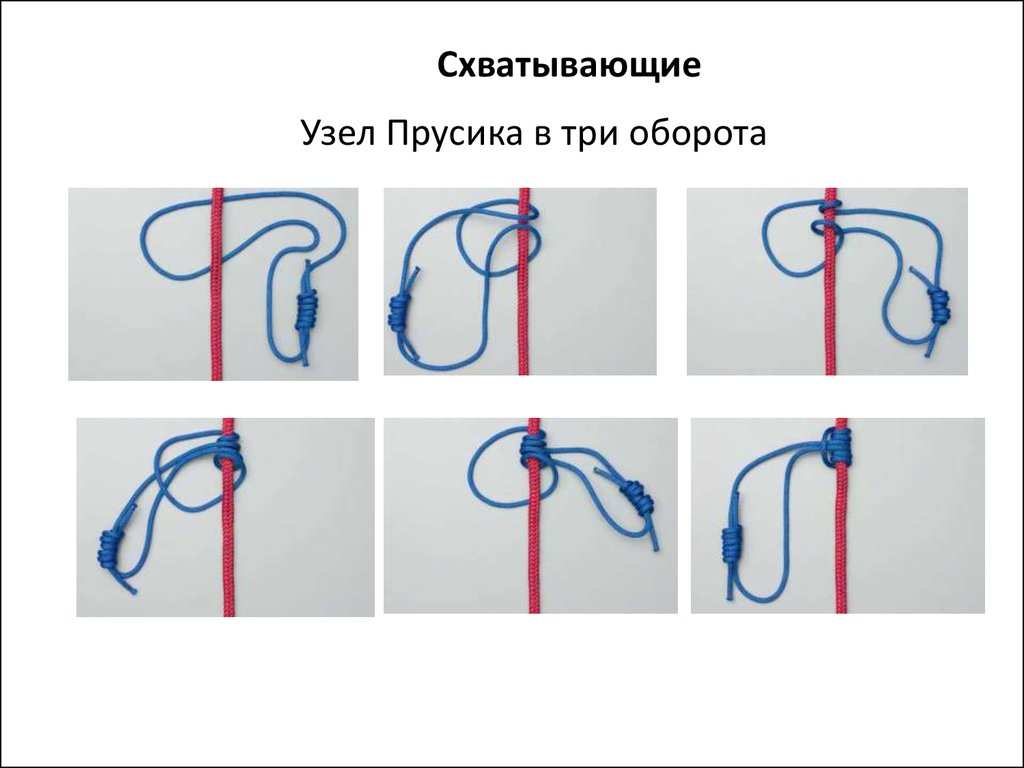 Узел прусика схема вязания