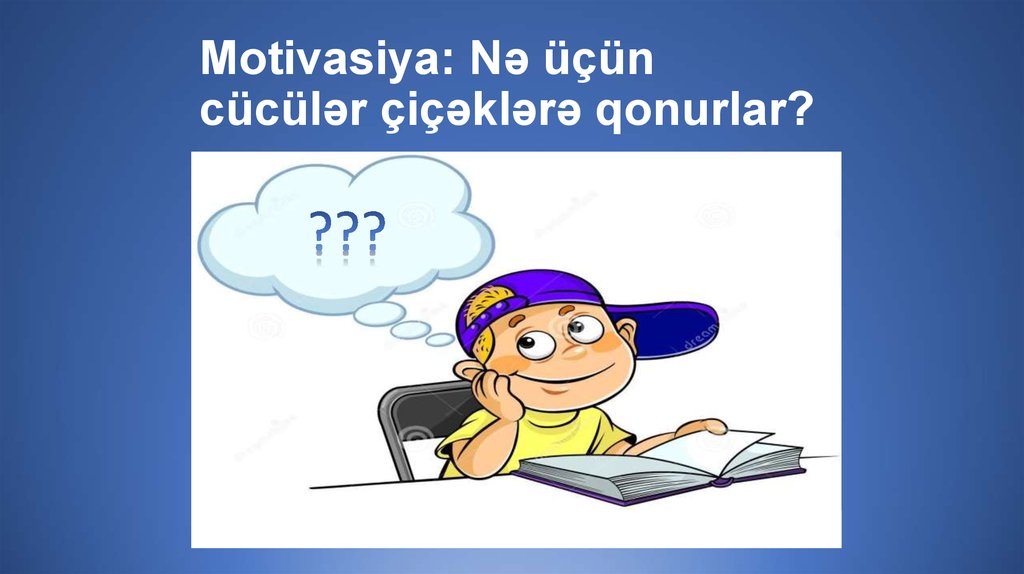 Motivasiya: Nə üçün cücülər çiçəklərə qonurlar?
