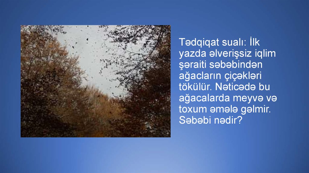 Tədqiqat sualı: İlk yazda əlverişsiz iqlim şəraiti səbəbindən ağacların çiçəkləri tökülür. Nəticədə bu ağacalarda meyvə və toxum əmələ gəlmir. Səbəbi nədir?