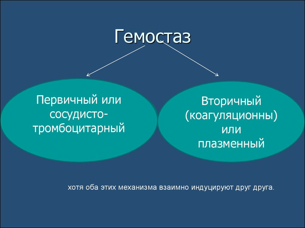 Гемостаз это. Первичный гемостаз. Первичный и вторичный гемостаз. Первичный гемостаз и вторичный гемостаз. Первичный сосудистый гемостаз.