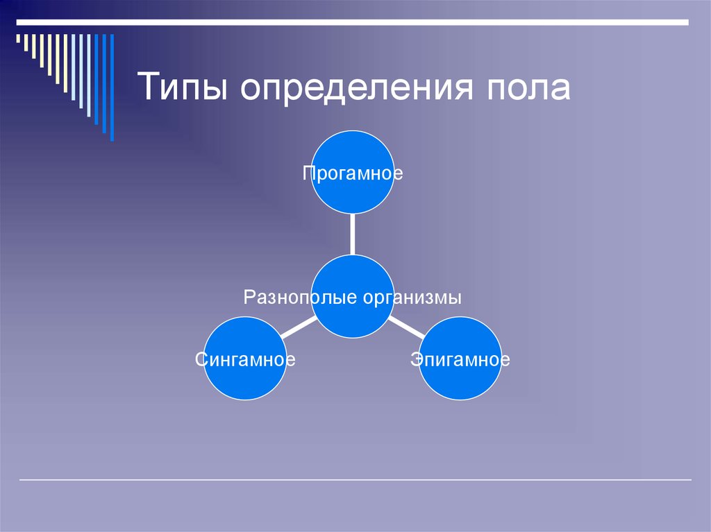 Типы определений