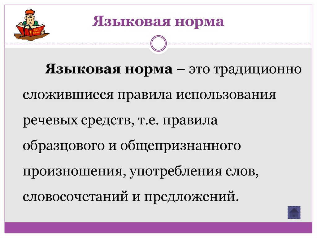 Это образец единообразного общепризнанного употребления элементов языка