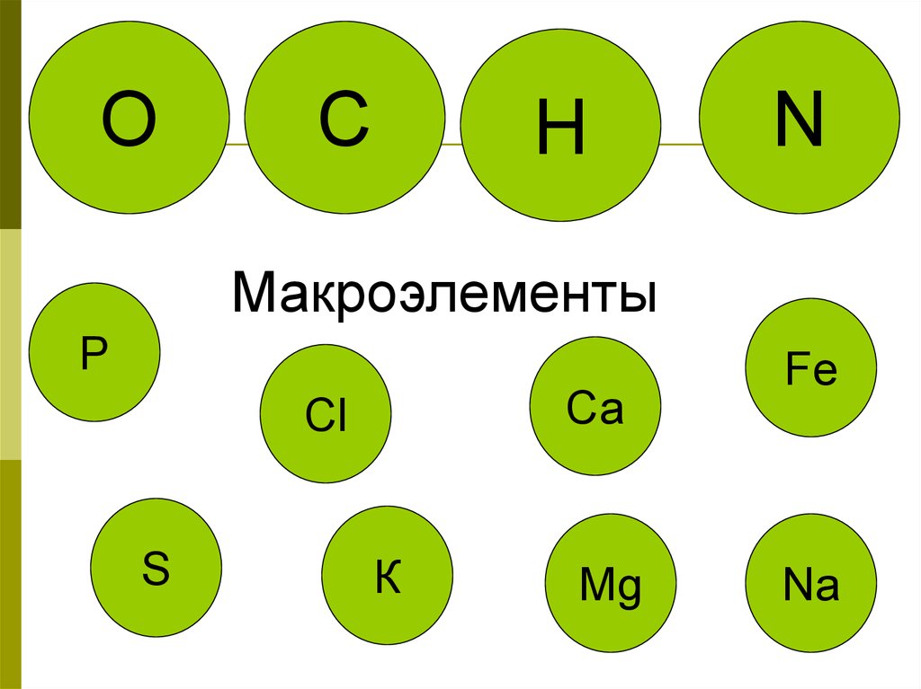 2 макроэлемента. Макроэлементы. Макроэлементы это в биологии. Макро и микроэлементы. Макроэлементы и микроэлементы.