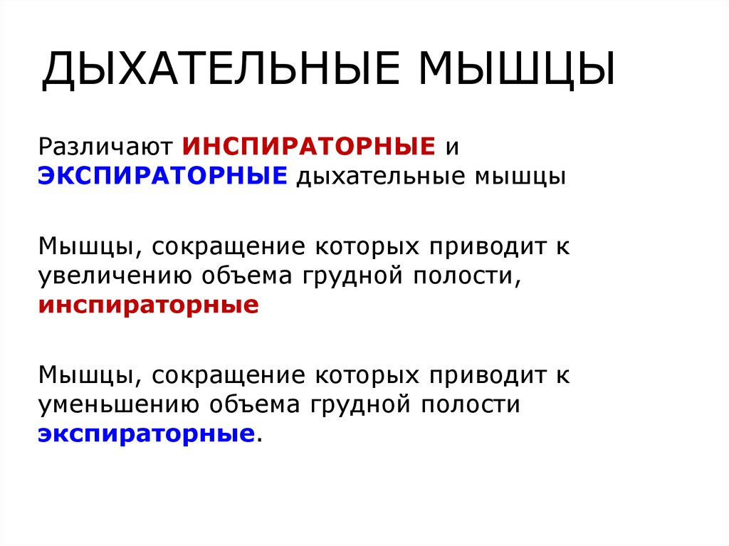 Мышцы дыхания. Основные дыхательные мышцы. Функции дыхательных мышц. Инспираторные дыхательные мышцы. Вспомогательные дыхательные мышцы.