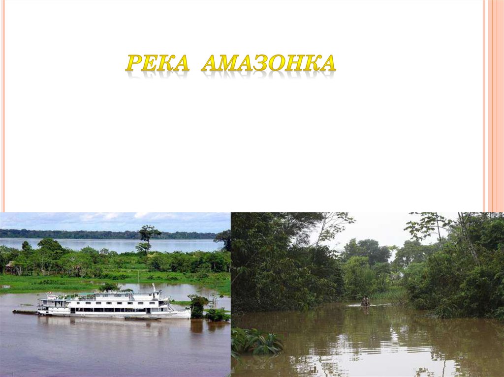 Река Амазонка