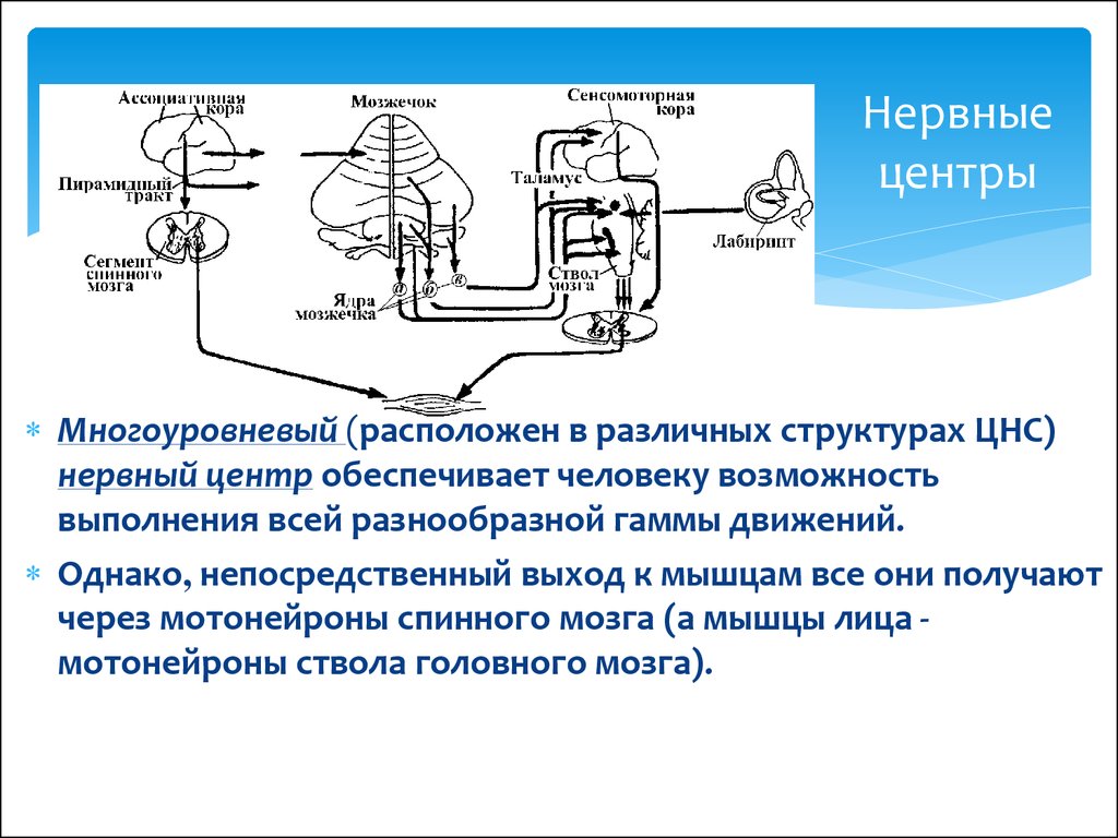 Структурно функциональная схема анализатора