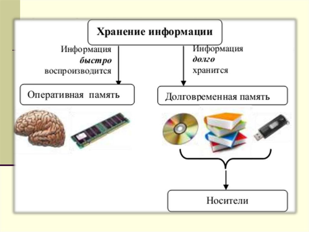 Хранилище памяти. Схема хранения информации Информатика 5. Таблица хранение информации 5 класс. Хранение информации таблица по информатике. Заполните схему хранение информации Информатика 5 класс.