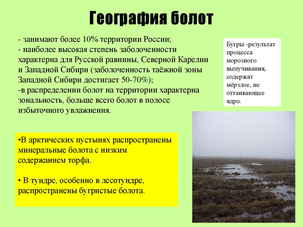Территория болот в россии. Болота это в географии. Краткая характеристика болот. Презентация о болотах 6 класс. Видовая структура болота.