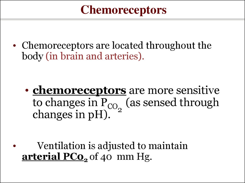 Chemoreceptors