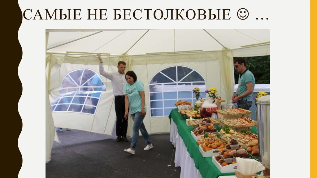 Самые не бестолковые  …