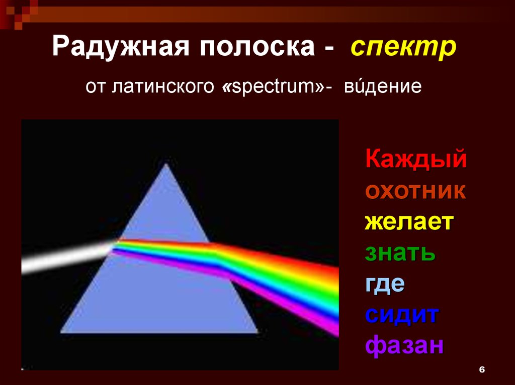 Радужная полоска - спектр от латинского «spectrum»- вúдение