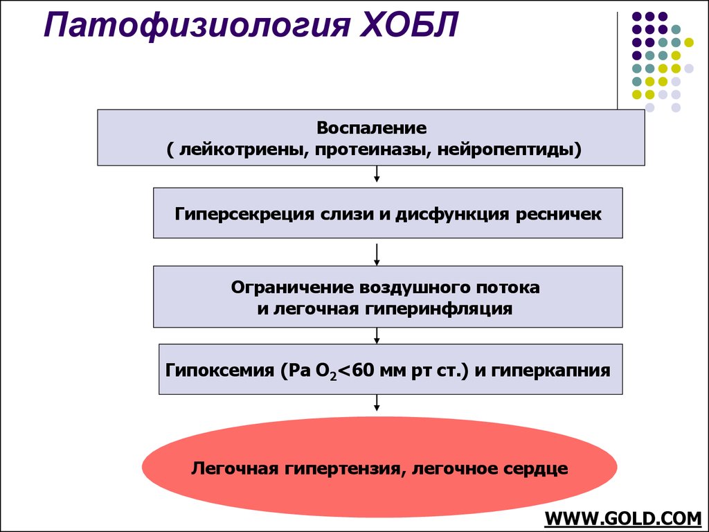 Схема патогенеза хобл