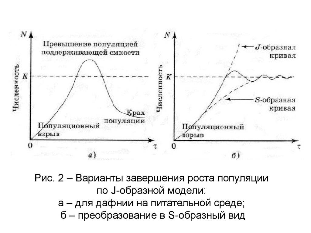 Рис. 2 – Варианты завершения роста популяции по J-образной модели: а – для дафнии на питательной среде; б – преобразование в S-образный вид