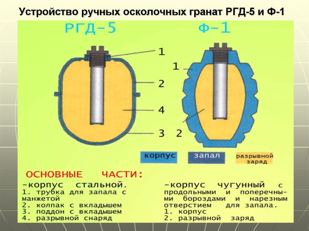 Устройство ручной. Устройство гранаты РГД 5 И ф1. Устройство ручных осколочных гранат РГД 5. Устройство гранат ф-1 РГД-5. РГД 5 граната состоит.