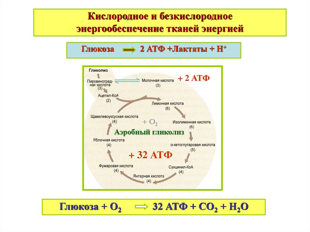 Процесс бескислородного этапа