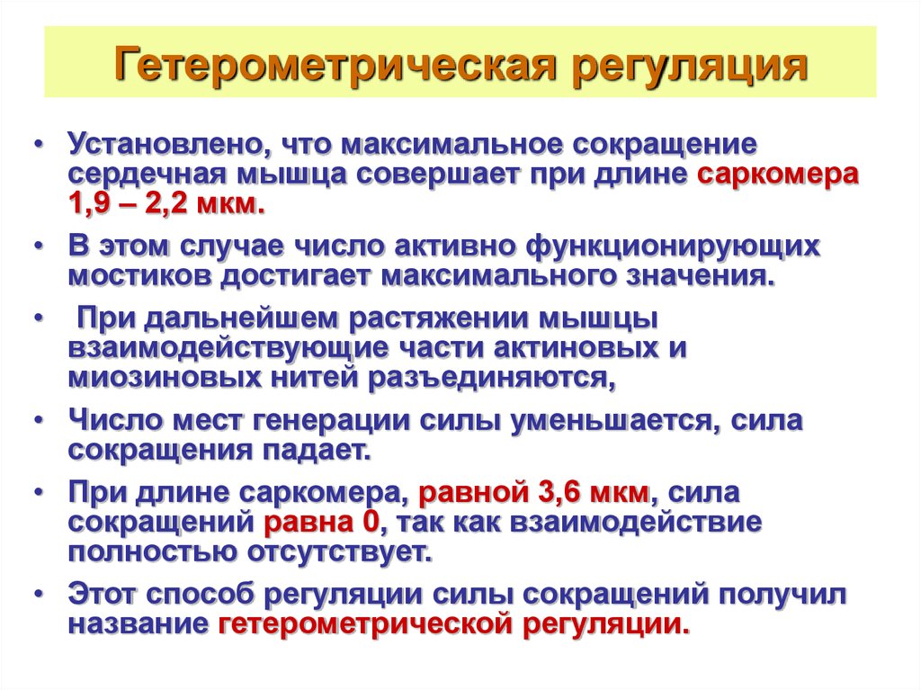 Сокращение сердечной мышцы. Гетерометрическая регуляция сердца. Гетерометрический механизм регуляции. Гетерометрический механизм регуляции сердца. Гетерометрический механизм регуляции сердечной деятельности.