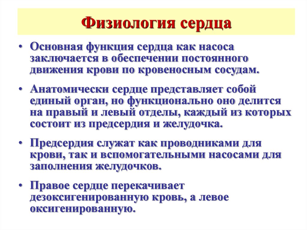 Физиологически это. Функции сердца нормальная физиология. Физиология деятельности сердца кратко. Функции сердца человека кратко. Физиология деятельности сердечной мышцы.