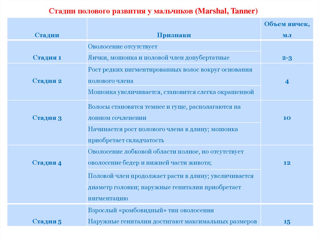 Шкала таннера для мальчиков с рисунками