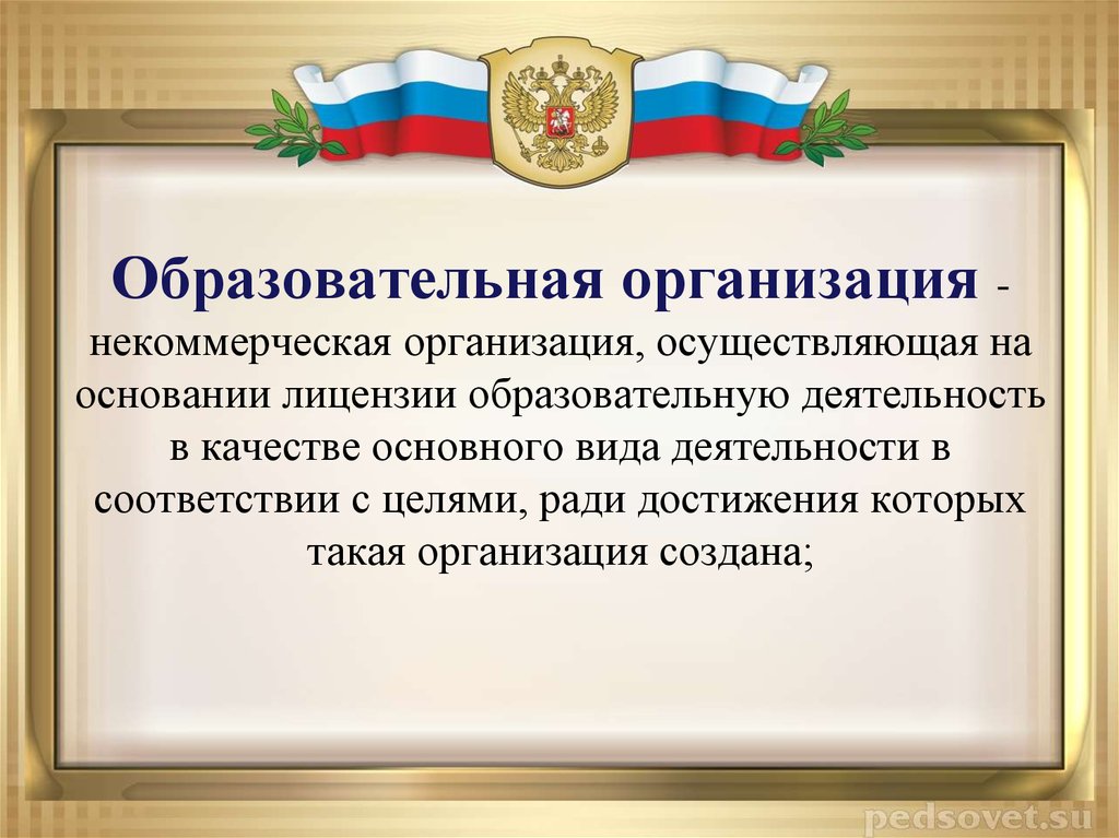 Некоммерческая организация профессионального образования. Образовательная организация. Образовательная организация это некоммерческая организация. Некоммерческие организации в образовании. Общеобразовательная организация это.