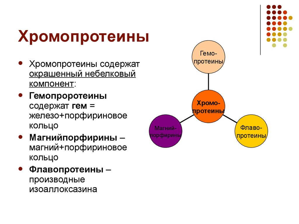 К протеинам относятся