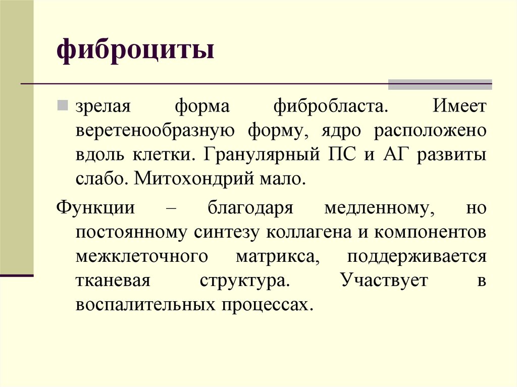 Благодаря функции. Фиброциты функции. Фибробласты функции. Основные функции фибробластов. Фиброциты строение.