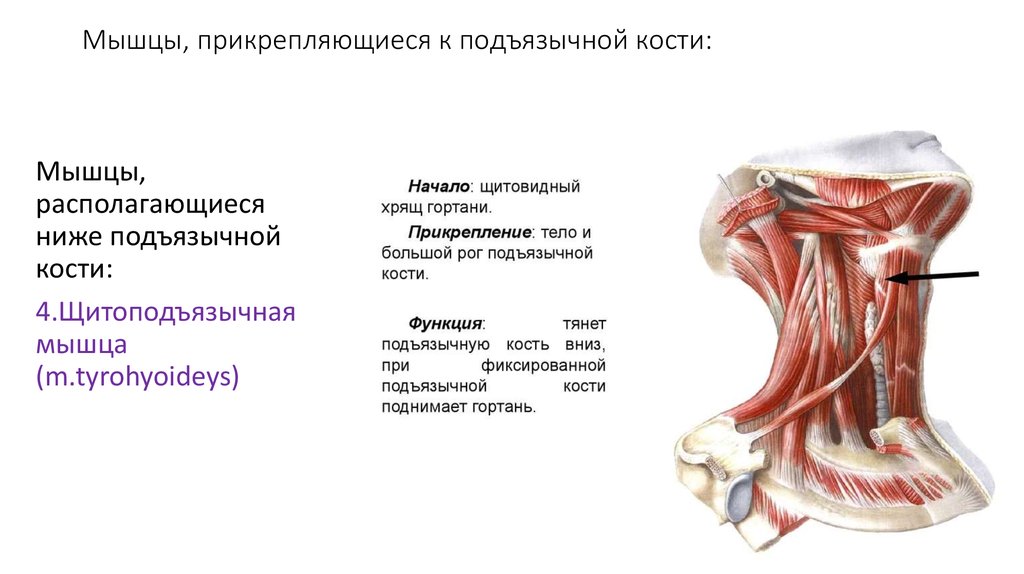 ebook Финансовая математика: Учебно методическое пособие 2010