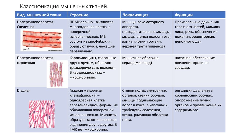 совершенствование организации снабжения в ооо бизнесальянс инновации в управлении региональным