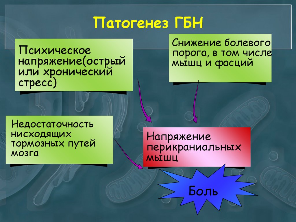 Головная боль напряжения презентация