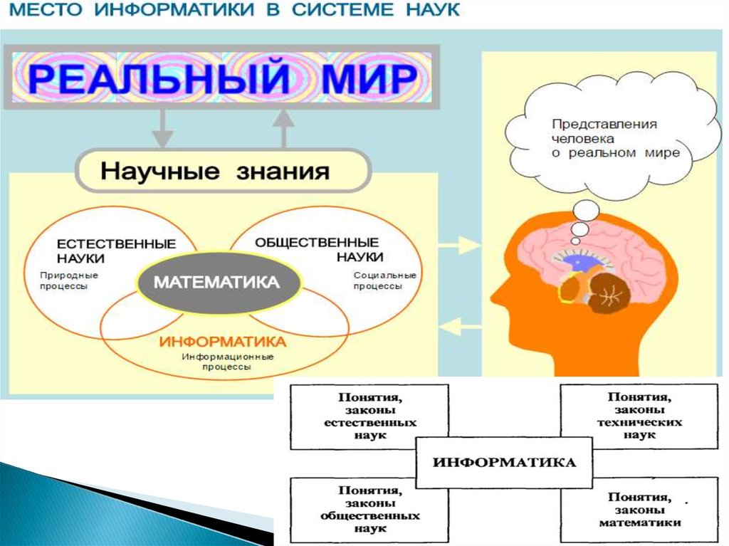 Факты в системы знаний