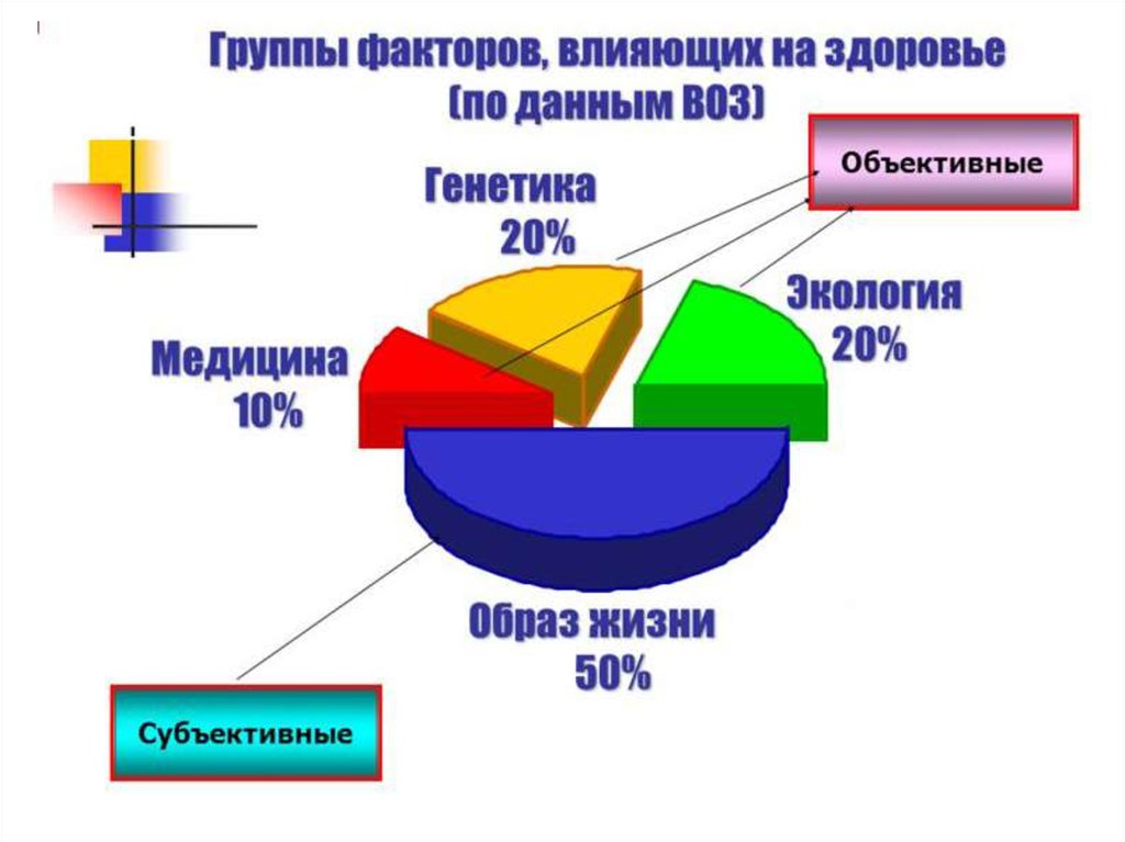 Диаграмма зависимости здоровья человека