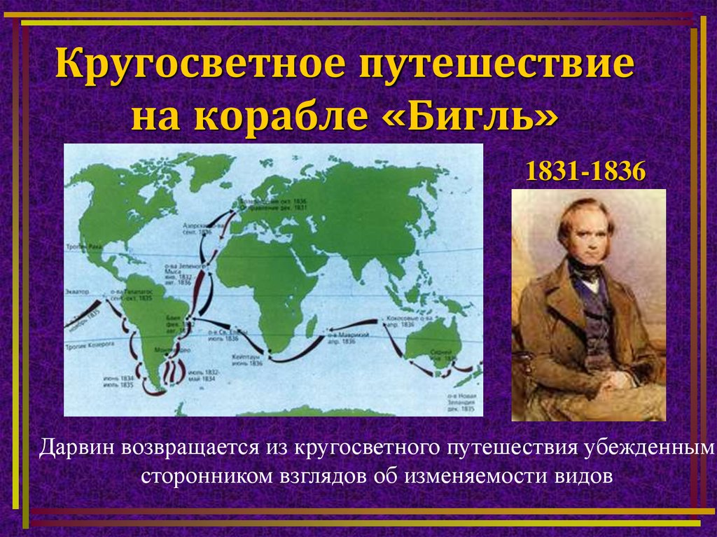 Дата кругосветного путешествия. Путешествие Дарвина на корабле Бигль. Кругосветное путешествие Чарльза Дарвина.