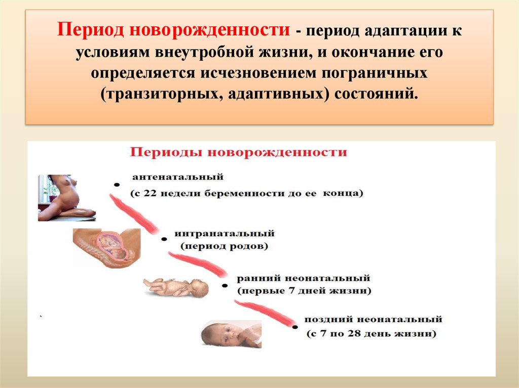 Особенности адаптации недоношенного новорожденного к условиям внеутробной жизни презентация