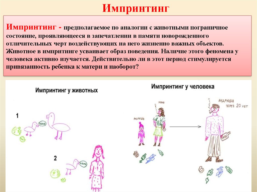 Импринтинг это. Импринтинг. Импринтинг в психологии у детей. Импринтинг примеры у человека. Запечатление это в психологии.