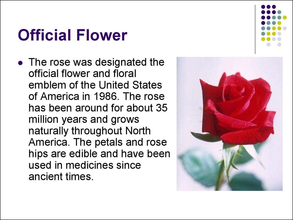Official Flower