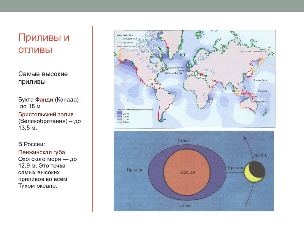 Зона прилива и отлива. Самые высокие приливы в мире на карте. Карта приливов и отливов. Карта приливов и отливов мир. Высота приливов и отливов карта.