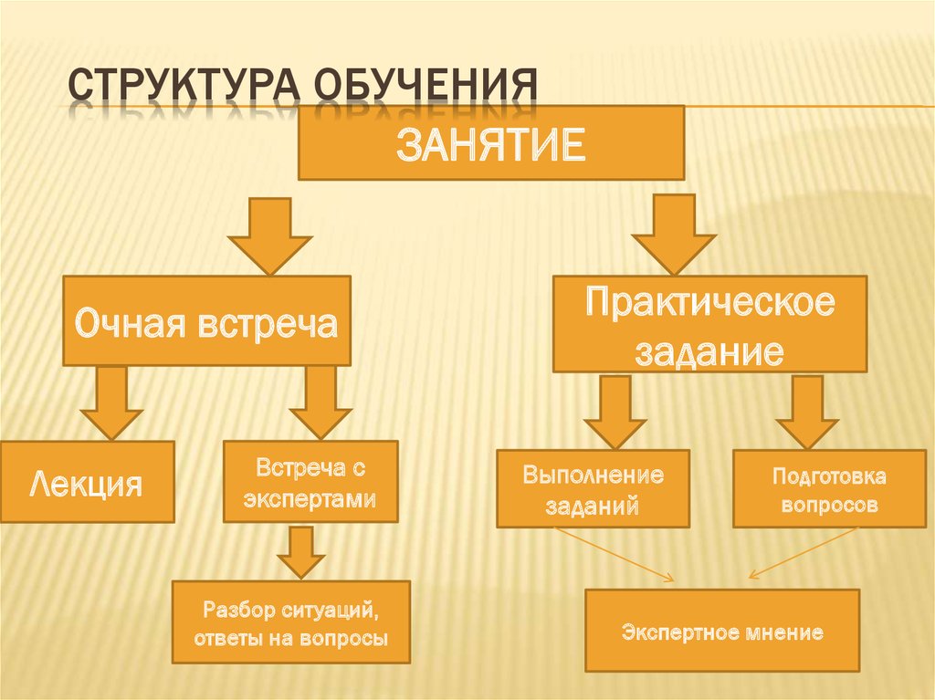 Структура обучения. Структура преподавания. Структура учебы. Учебная иерархия.