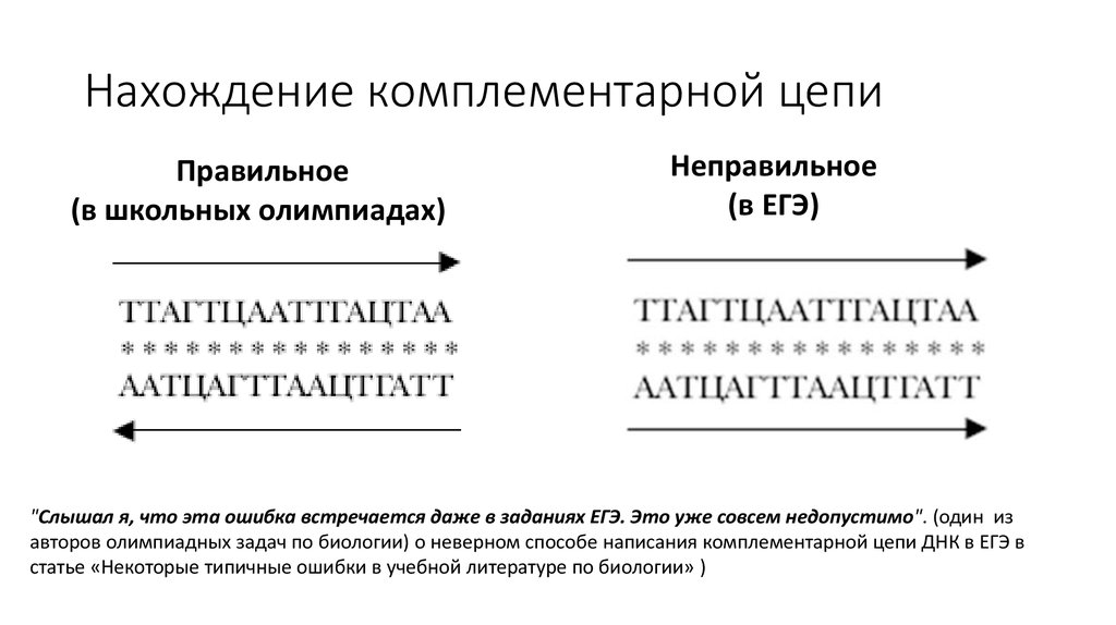 Последовательность комплементарной цепи