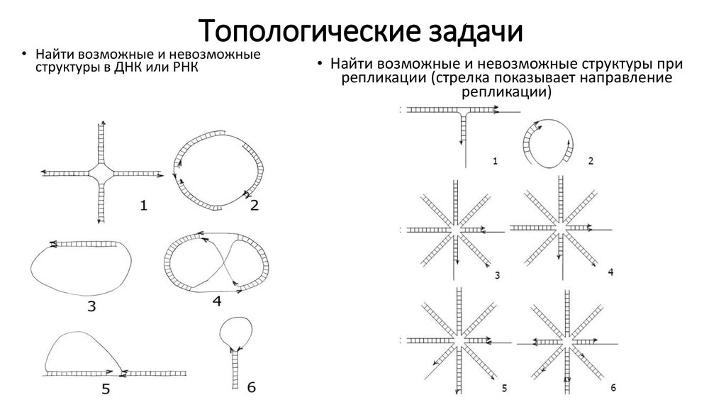 Топологические опыты 5 класс наглядная геометрия презентация