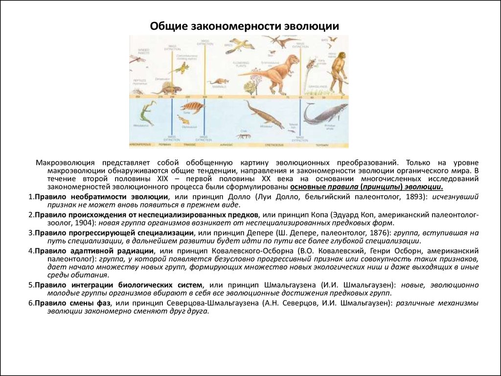 Какая группа доказательств эволюции живой природы изображена на рисунке 1 палеонтологические