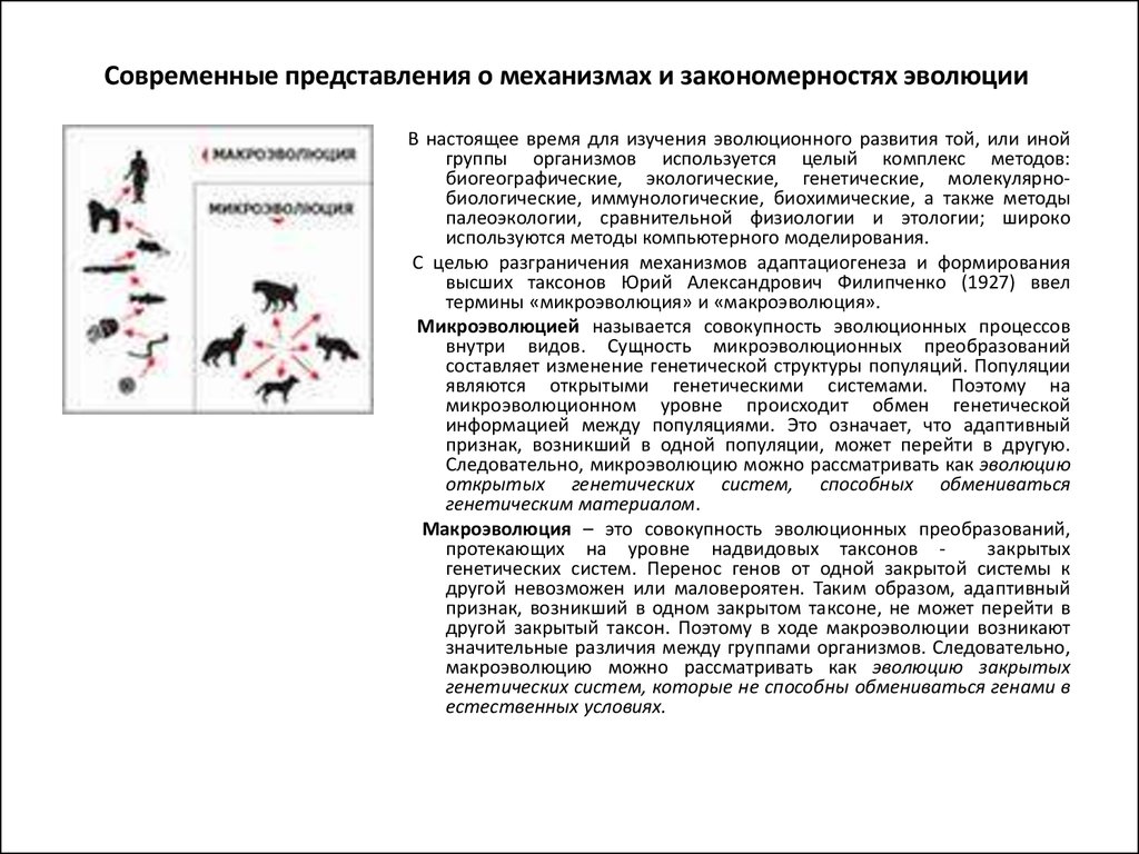 Современные представления о механизмах и закономерностях эволюции проект