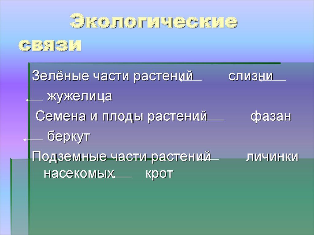 Экологические связи. Экологические связи в субтропиках. Взаимосвязи в природе субтропиков. Экологические связи растений. Взаимосвязи в природе в зоне субтропиков.